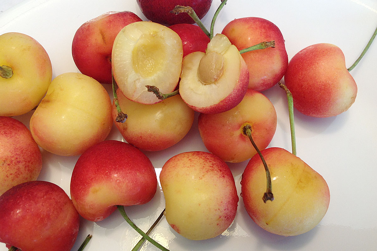 Image result for rainier cherries
