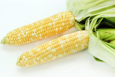 Organic Sweet Corn