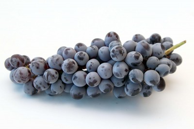 Organic Thomcord Grapes