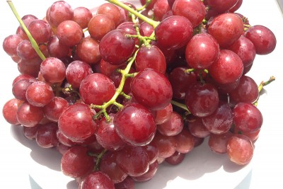 Organic Red Flame Seedless Grapes